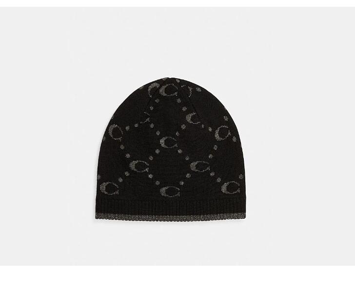Cheap Classic Logo Metallic Knit Beanie Hat