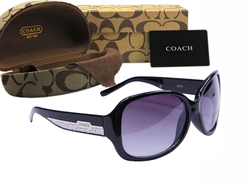 Coach Sunglasses 8018 