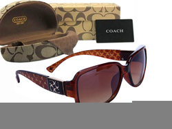 Coach Sunglasses 8023 